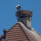 die Tage sind gezählt